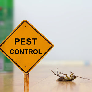 Can You Safely Do You Own Pest Control? (Yes!)