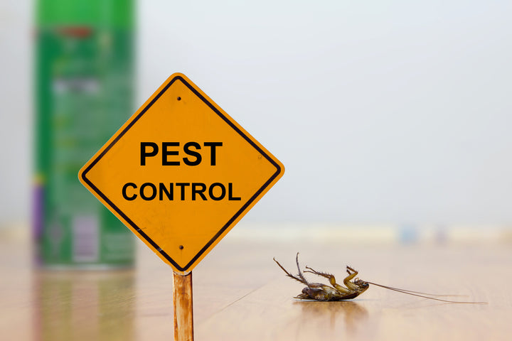 Can You Safely Do You Own Pest Control? (Yes!)