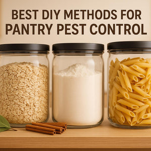 Best DIY Methods for Pantry Pest Control
