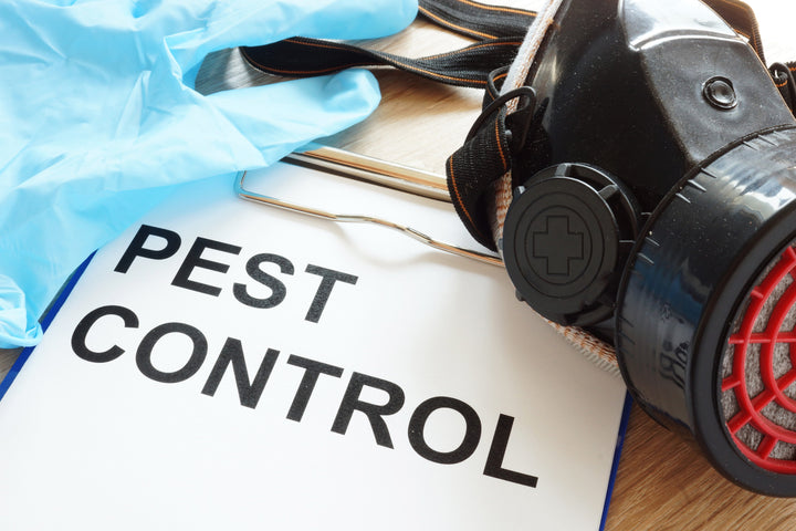 How to Do Your Own Pest Control