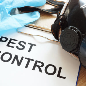 How to Do Your Own Pest Control