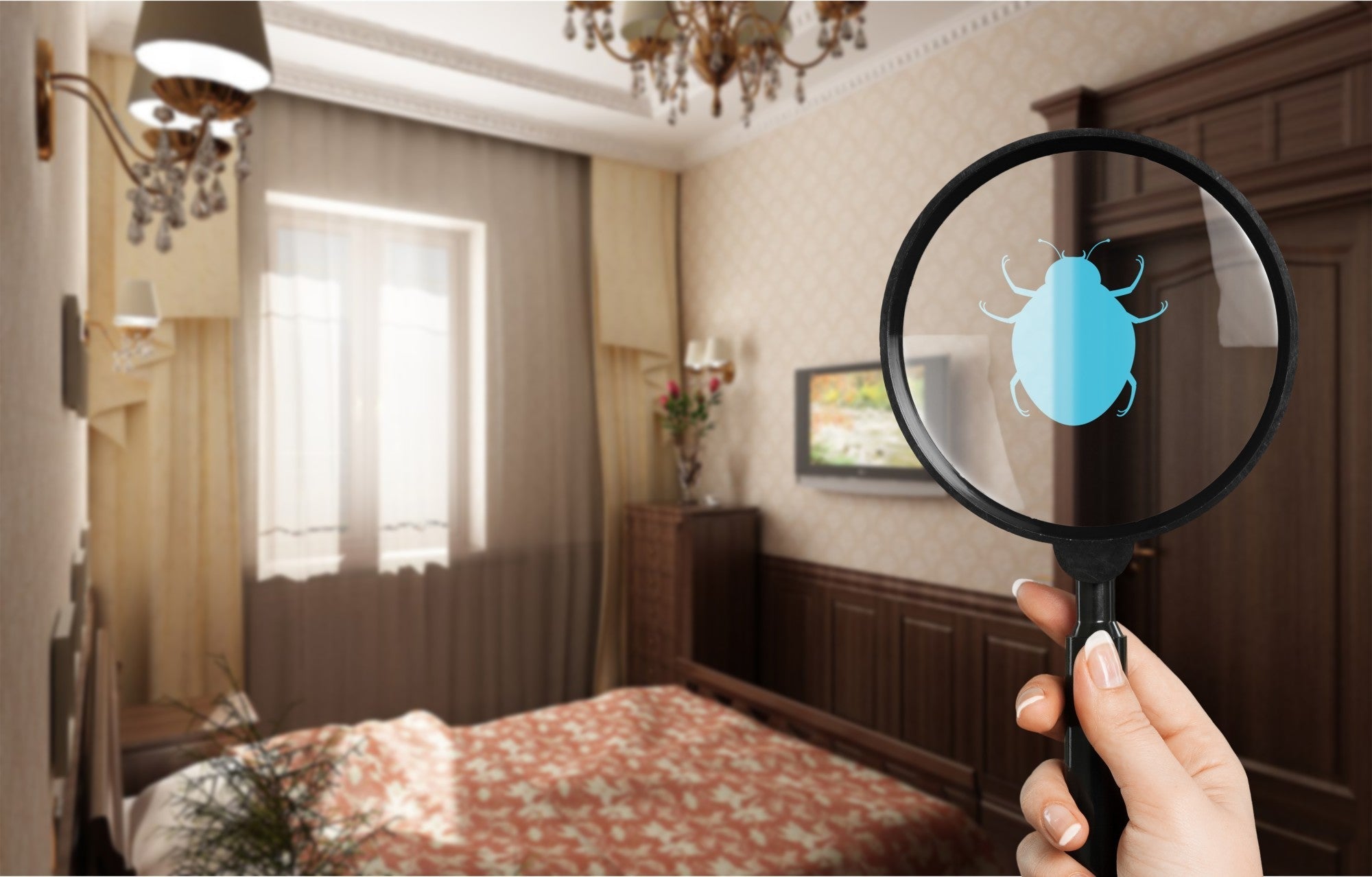 Learn to Spot the Signs of Fleas in Your House