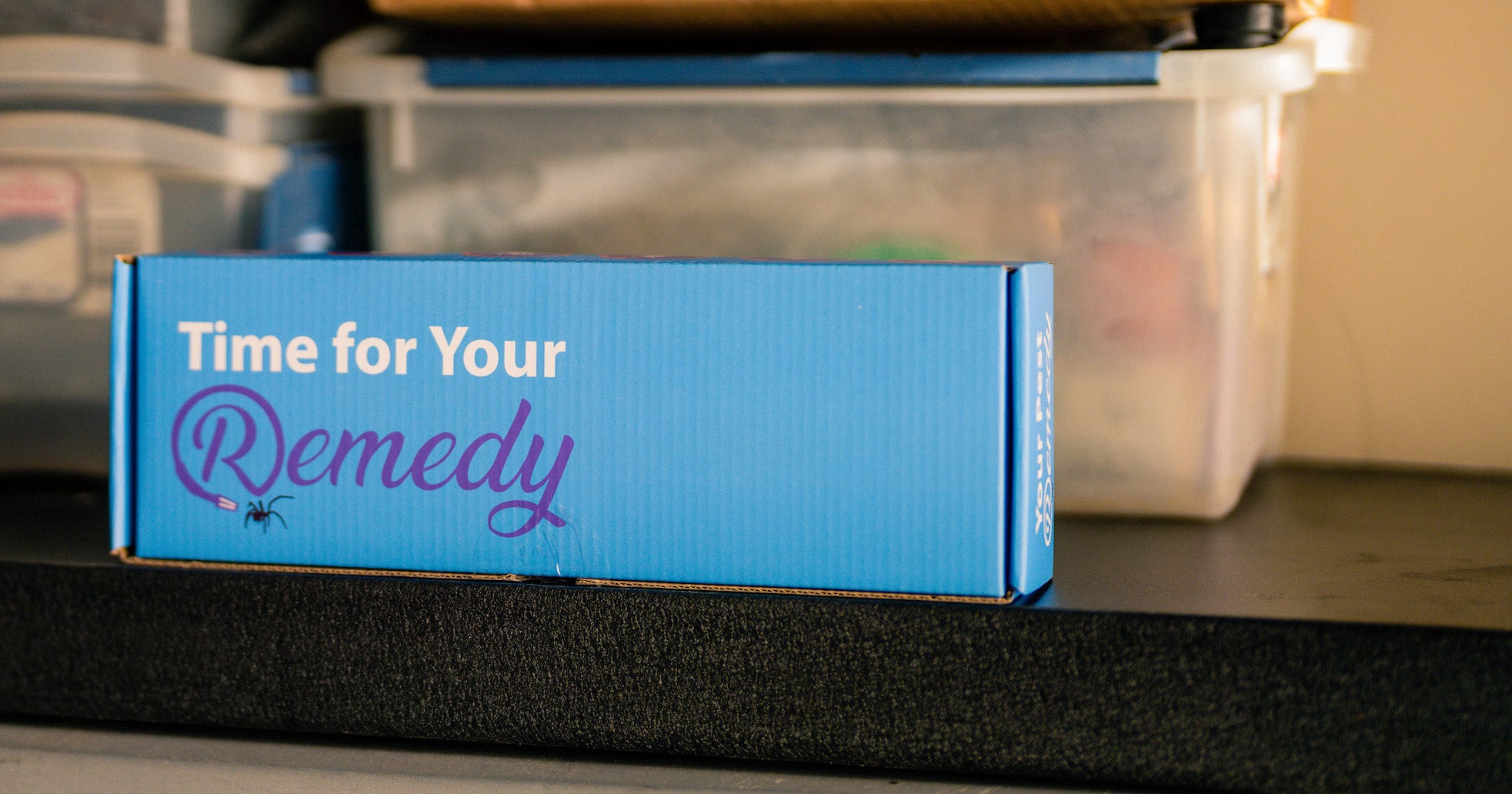 Remedy DIY Pest Control shipping box displayed on shelf in garage