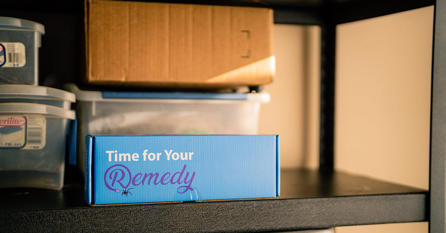 Remedy DIY Pest Control shipping box displayed on shelf in garage