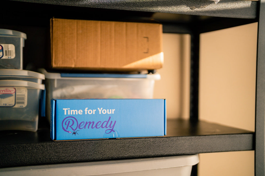 Remedy DIY Pest Control shipping box displayed on shelf in garage