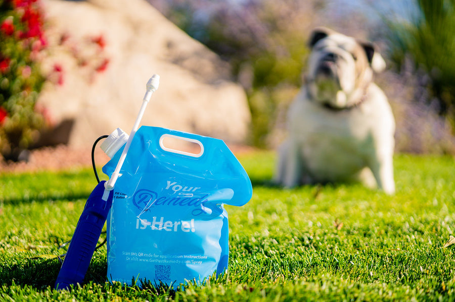 Monthly Pest Control Kit